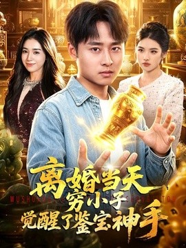 离婚当天，穷小子觉醒了鉴宝神手海报