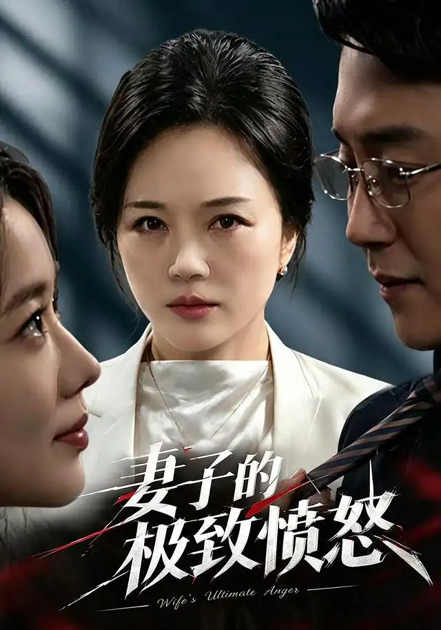 妻子的极致愤怒海报