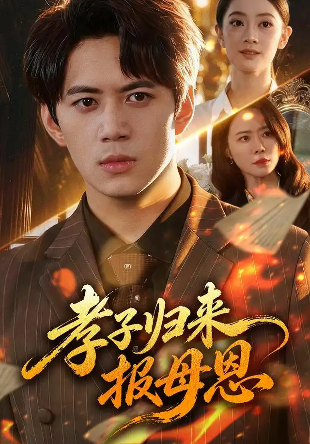 孝子归来报母恩海报