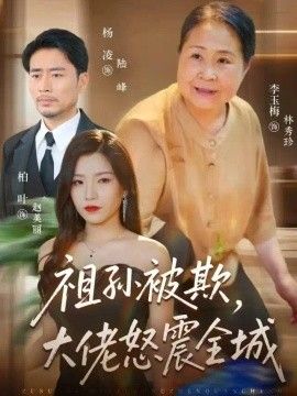 祖孙被欺，大佬怒震全城海报
