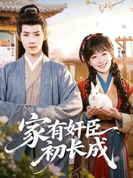 家有奸臣初长成海报