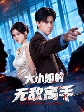 大小姐的无敌高手海报