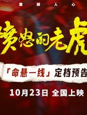愤怒的老虎(预告片)海报