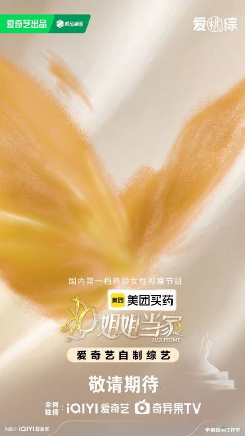 姐姐当家第2季海报