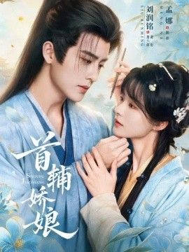 首辅娇娘海报
