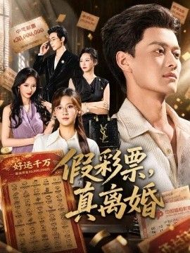 假彩票，真离婚海报