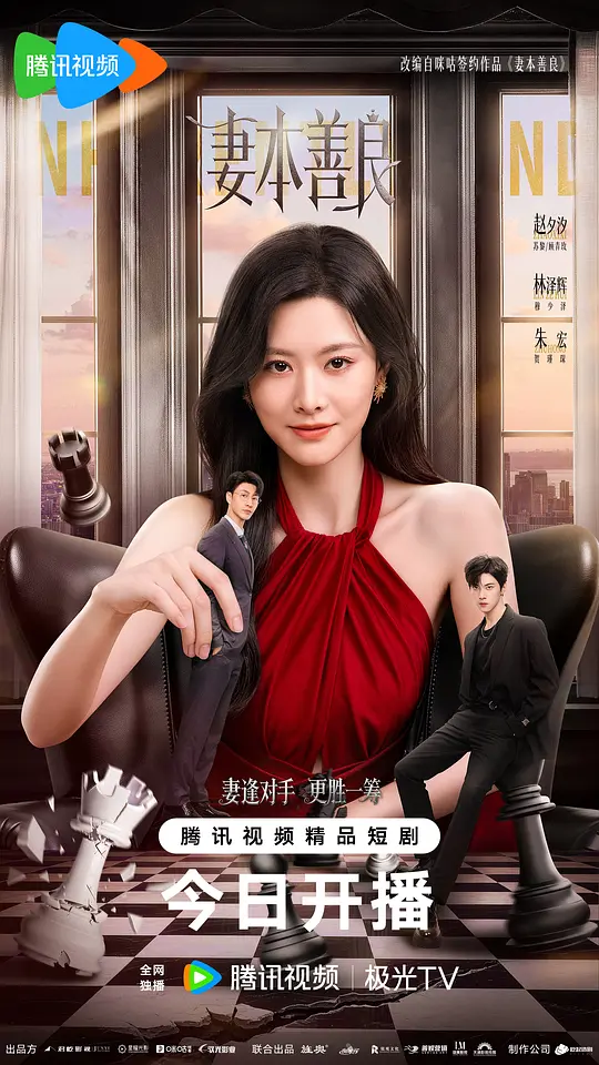 妻本善良海报