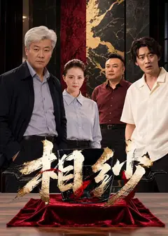 相纱海报